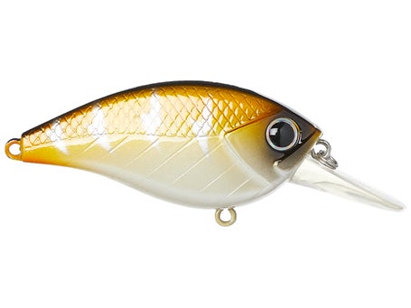 blue frog fishing pole Best Frog Rods of 2026