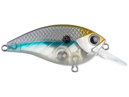 Lunkerhunt Impact Series Mixed Water Combo ICMW02 — CampSaver