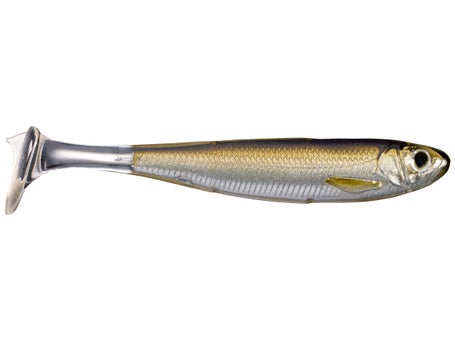 LIVETARGET Slow Roll Shiner Swimbait