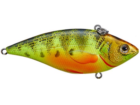 Set of 3 LiveTarget Golden Shiner Lipless Crankbaits 1/4 oz 2 3/8 3 Colors  New