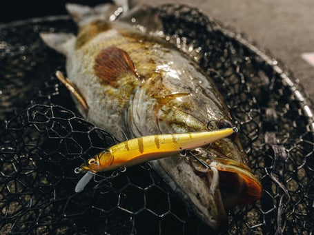 akule net fishing Akule Jigs  island Offshore Big Game Fishing Gear