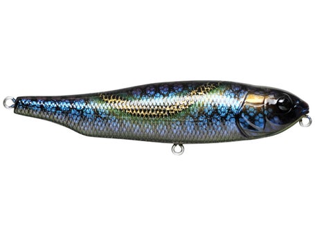 Everything You NEED To Know About Megabass Topwater Baits