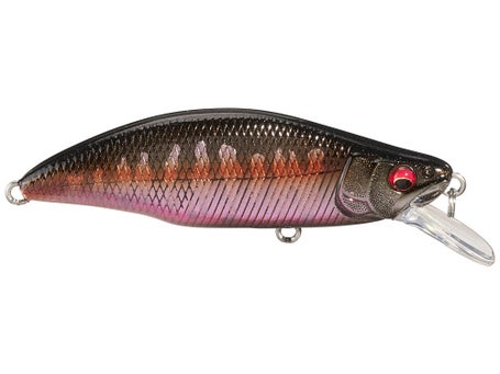 Megabass Great Hunting GH51 FS Humpback\