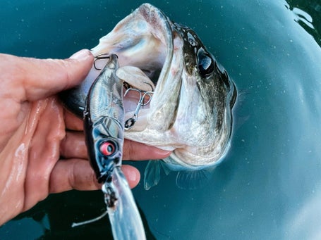 Megabass Ito Vision 110+1 Jerkbaits - Tackle Warehouse