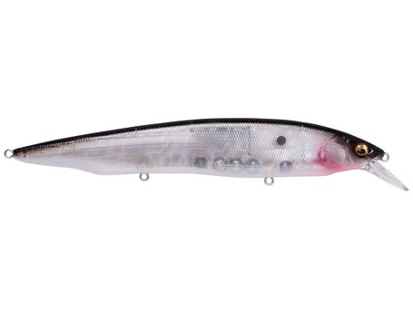 Megabass Ito Shiner Jerk Rip Bait Product Review