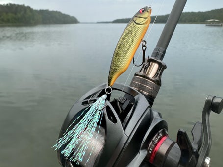 Pêche En Mer Leurre Megabass Karashi SW SS - Pencil Sinking Pour - Couleur FA Green Murret (5g, 59mm) Misery King
