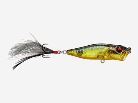 Megabass Pop X Popper\
