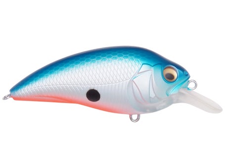 Crankbait for Bass Fishing inches Shallow Diving Crank Bait Square Bill  Cranking Fishing Lures