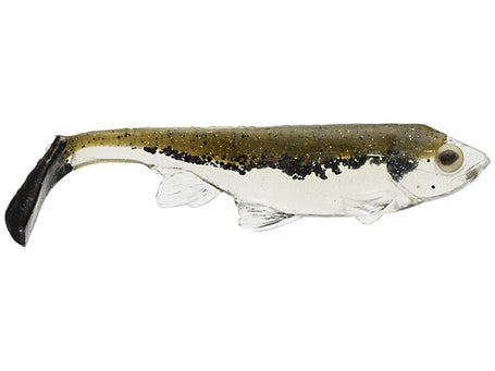 Weedless Swimbait 6” Color Natural Bait Fish Lot Of 1 Bait – La