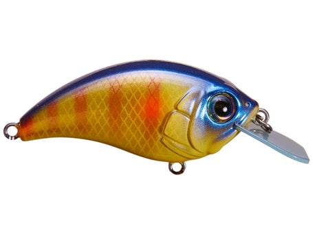 Bill Lewis Sb-57 Squarebill Crankbait Tennessee Shad – Hammonds Fishing