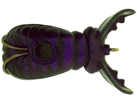 Molix Supernato Beetle