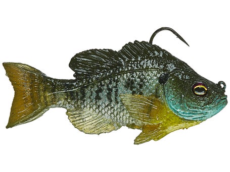 Mattlures Ultimate Hammer Tail male Bluegill 5.5