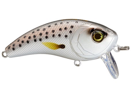 6th Sense Movement 60 WK Saltwater Wakebait