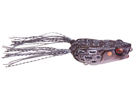 Molix Pop Frog