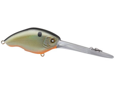 Master Crankbait Fishing with Expert Tips!