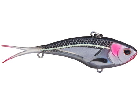 Swimtrex Max 72 Lipless Crankbait - 1oz – Nomad Tackle