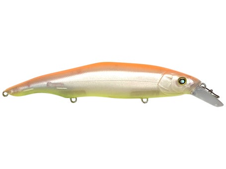 Nishine Lure Works Nishine Drop Shot Minnow, 3.4-Inch, #1 White & Blue  Pearl : : Sporting Goods