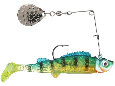 Download A variety of vibrant and attractive fishing bait on a