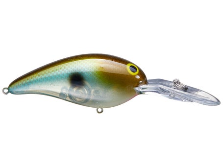 Norman Deep Little N Crankbait