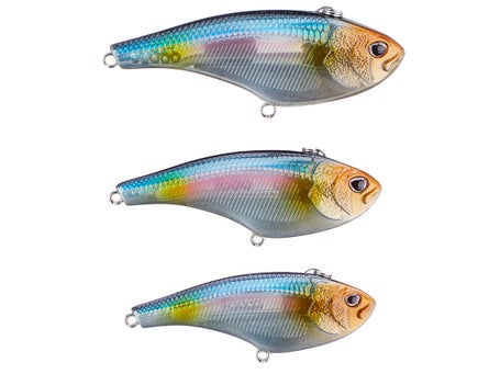 Nomad Design Swimtrex Lipless Crankbait