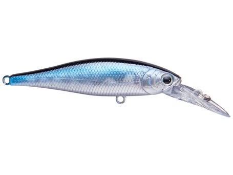 Hard Lure Lucky Craft POINTER SP - 10cm ✴️️️ Shallow diving lures - 2m ✓  TOP PRICE - Angling PRO Shop