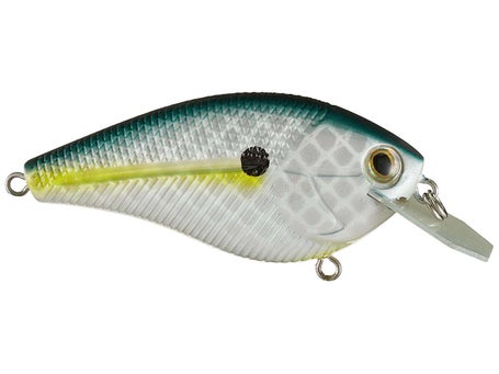 Primetyme SQ 2.0 – Livingston Lures