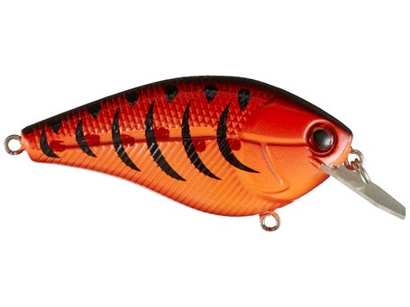 Livingston Primetyme CB 2.0 Tournament