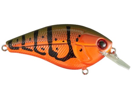 Livingston Primetyme CB 2.0 Tournament