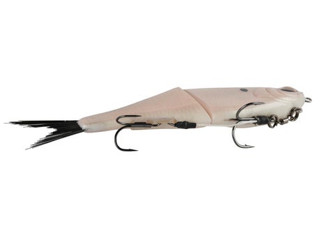 daiwa aggrest lt 2500 spinning reel Crossfire reengineered Laguna LT spinning Daiwa Sealine 900H Fishing product_type:swimbaits Reel Model:Daiwa Tanacom 800