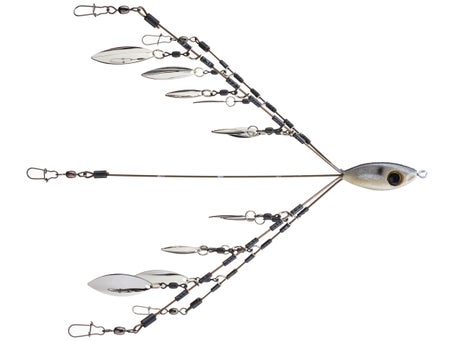 Picasso Sweet 16 Flashback Umbrella Rigs