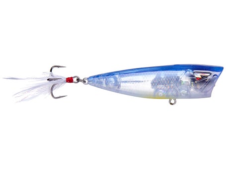 3 Best Topwater Poppers for Bass Fishing - Wish Upon A Fish