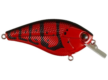 Livingston Primetyme SQ 2.0 Tournament 