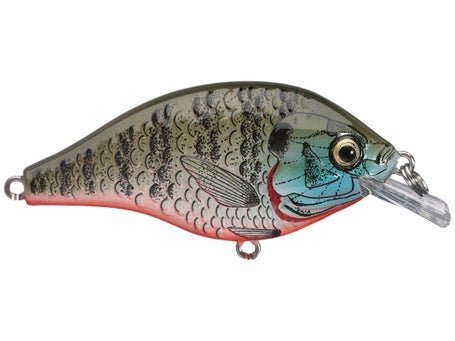Vintage Rebel Baitfish Series 2.5 Long Bluegill Fishing Lure A Real Beauty!