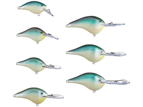 Rapala DT (Dives-To) Series Bluegill
