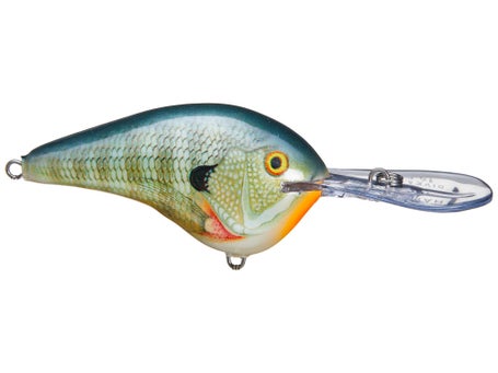 Rapala DT14 Series Crankbaits