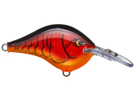 Rapala DT6 Series Crankbaits\