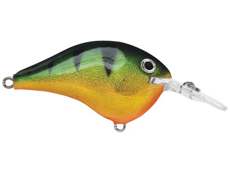 Rapala DT6 Series Crankbaits\