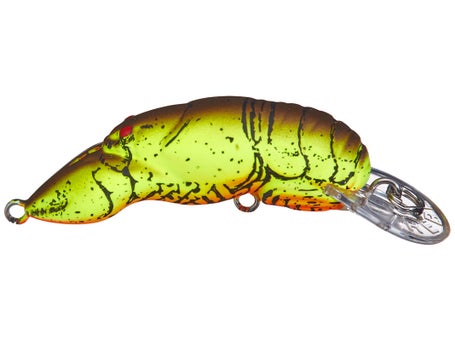 Rebel Middle Wee Craw Crankbait  Natural Sports – Natural Sports