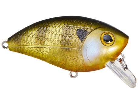 RPE Tackle RP Squared Crankbait