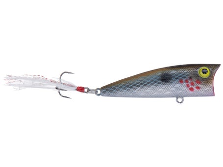 Rebel Pop-R Topwater Popper Bass, Striper, Trout, & Redfish