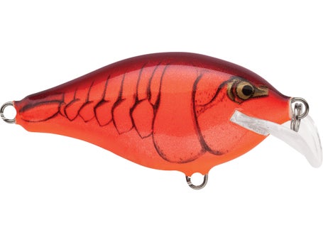Apple Road Lures - Trapping Supplies - Missouri