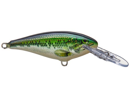 UNDER THE KNIFE/VMC RAPALA SHAD RAP - Fishing Tackle - Bass