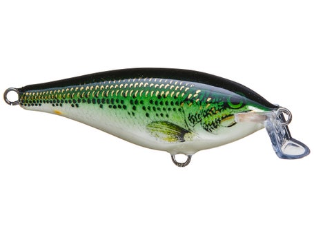 Rapala SSCRC05LBL Scatter Rap Crank Shallow 05 Fishing Lure, Live Largemouth  Bass, Topwater Lures -  Canada