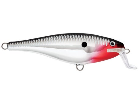 RAPALA SXR08 BSRD - Cudjoe Sales Fishermen's Warehouse