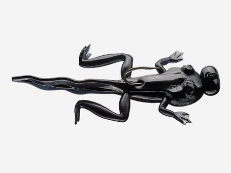 Rebel Tadpole