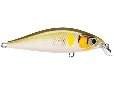 Rapala X-Light Minnow 05