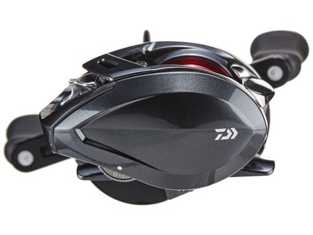 Daiwa Reels - Baitcasters Reels - The Tackle Warehouse