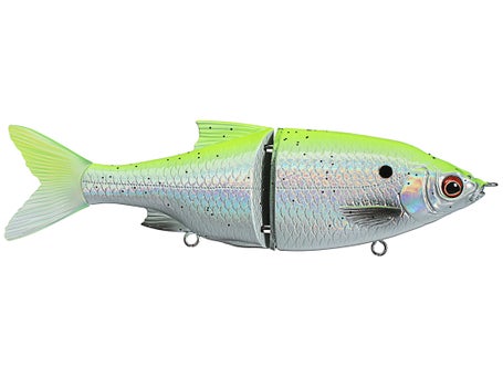 Savage Gear 3D Shine Glide Fishing Bait, 1 oz, Ghost Bone, Realistic  Contours, Colors & Movement, Durable Construction, Quality Hooks and Rings,  Unmatched Swimming Motion: Buy Online at Best Price in UAE 