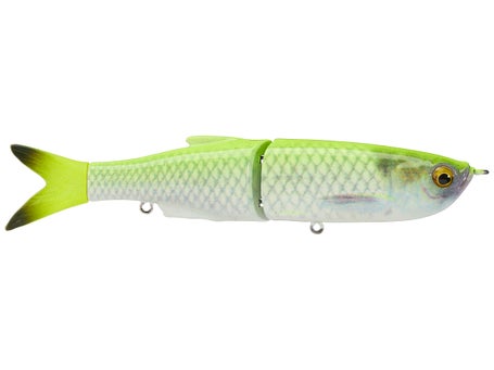  Savage Gear 3D Shine Glide - Slow Sink Lure : Sports & Outdoors