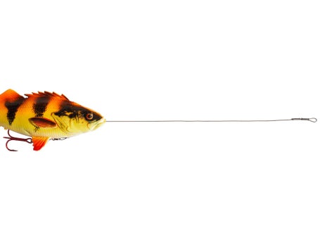 Savage Gear 4D Line Thru Roach Sinking Hechtköder | Ihr Angelshop für